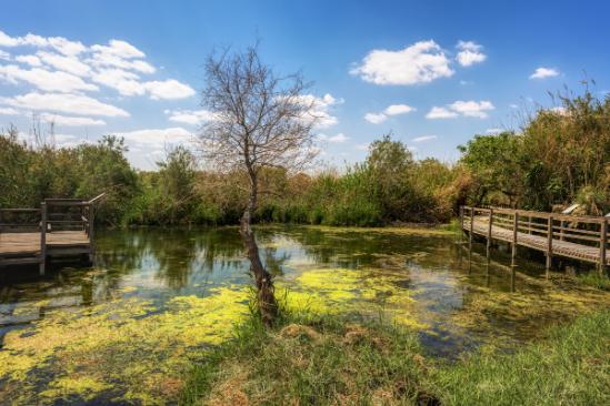 Guided Tours in Azraq